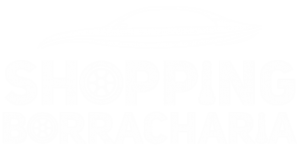 Logo Branca Borracharia